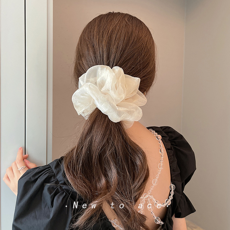 Women Silk Scrunchie Elastic H - Silk Tie Woven recension och pris
